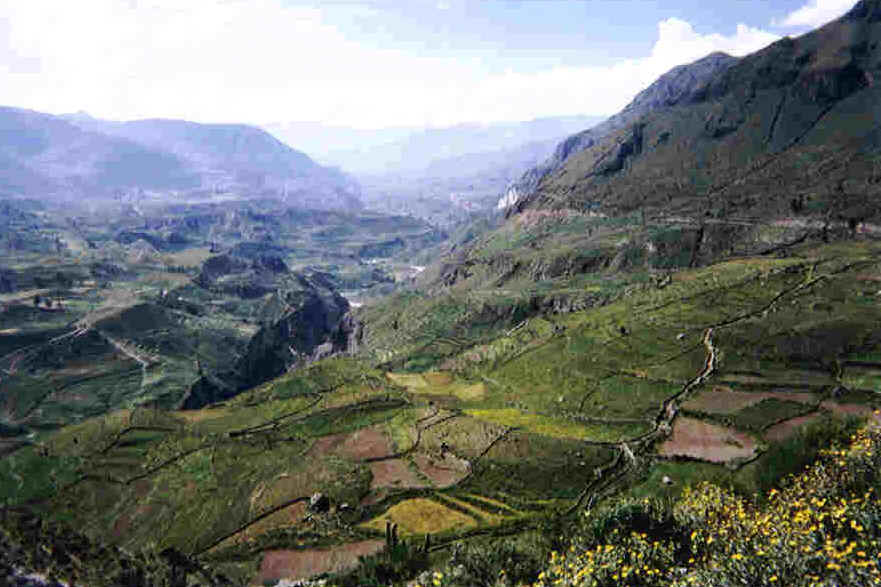 Colca-canyon rond Maca